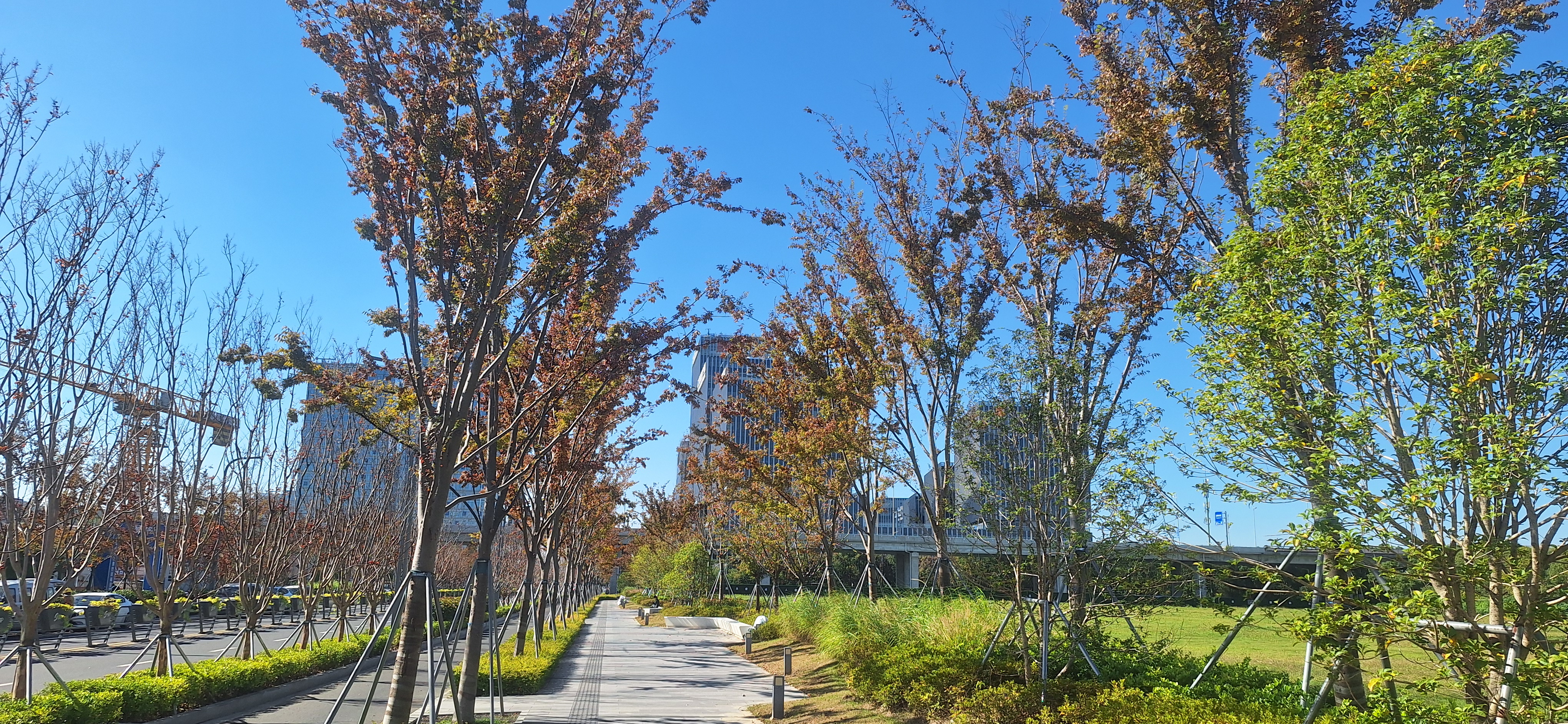 2025-11-13_12-19-05_904