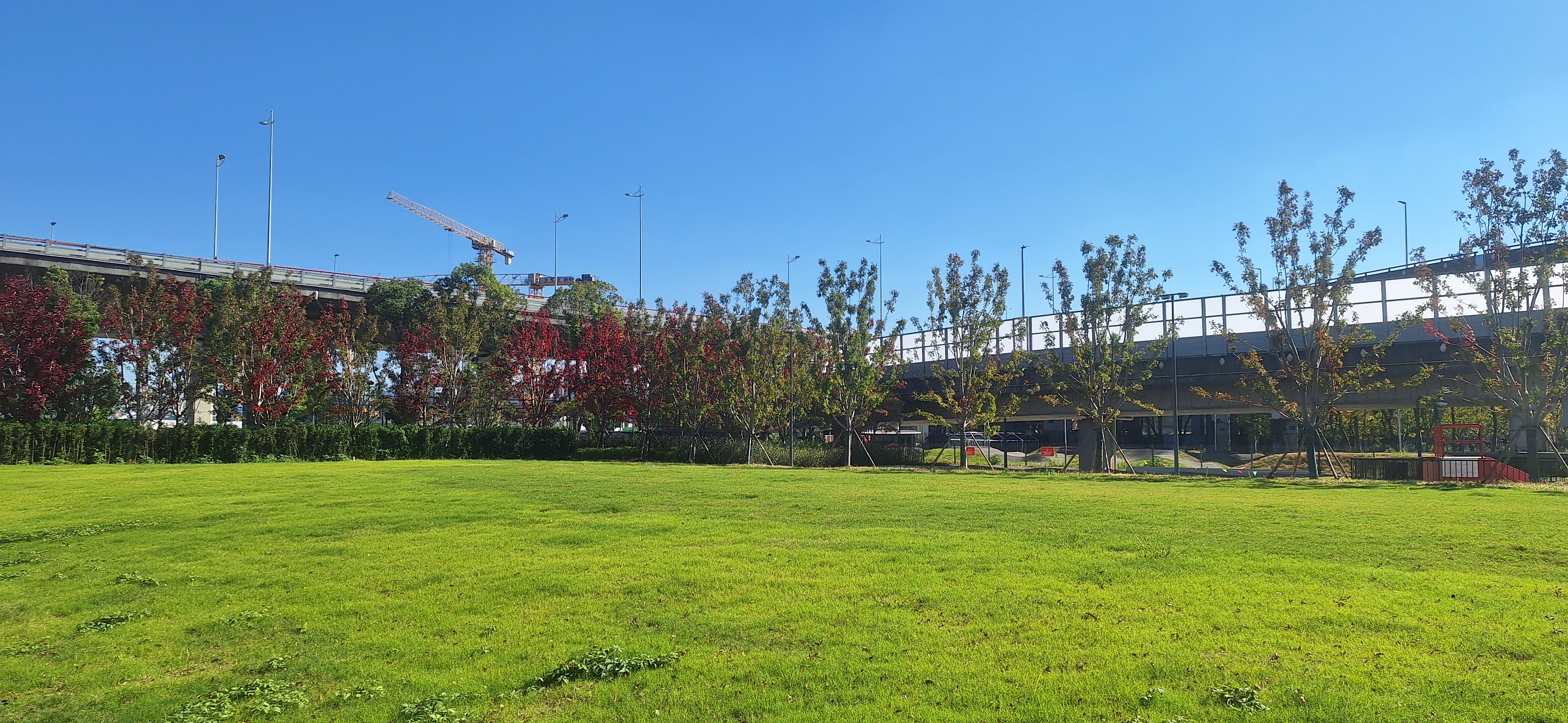 2025-11-13_12-24-25_425