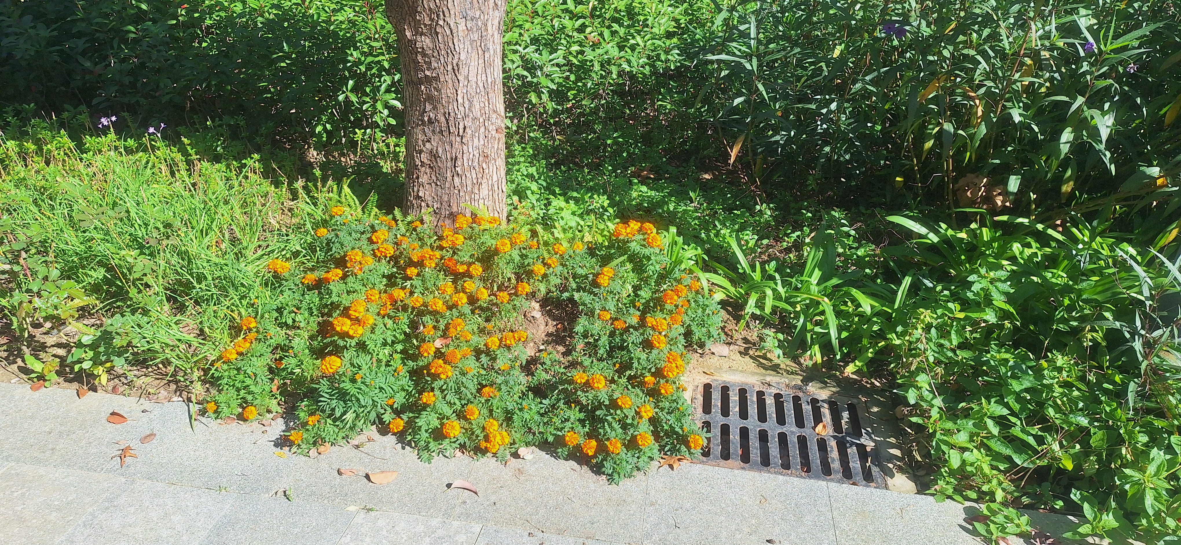 2025-11-13_12-25-46_546