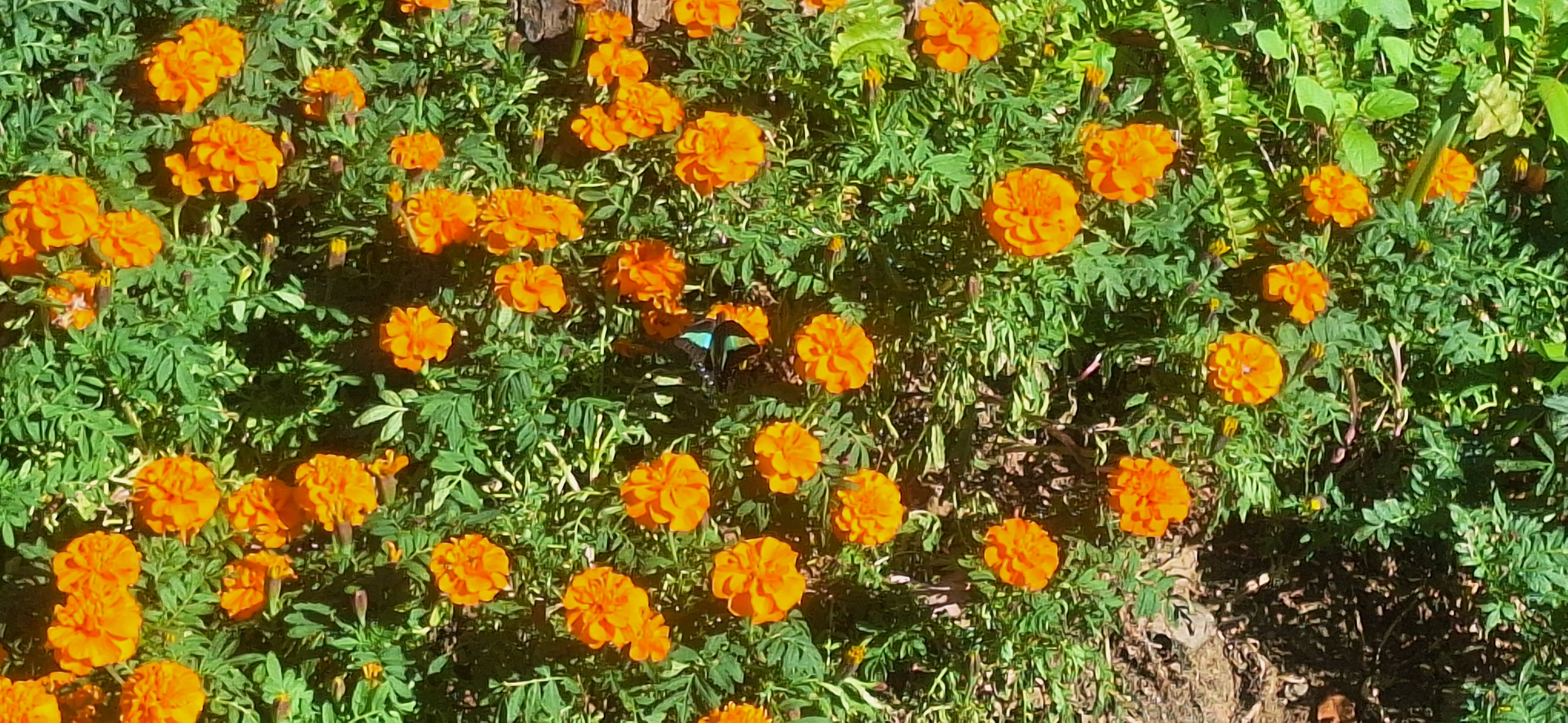 2025-11-13_12-25-56_556