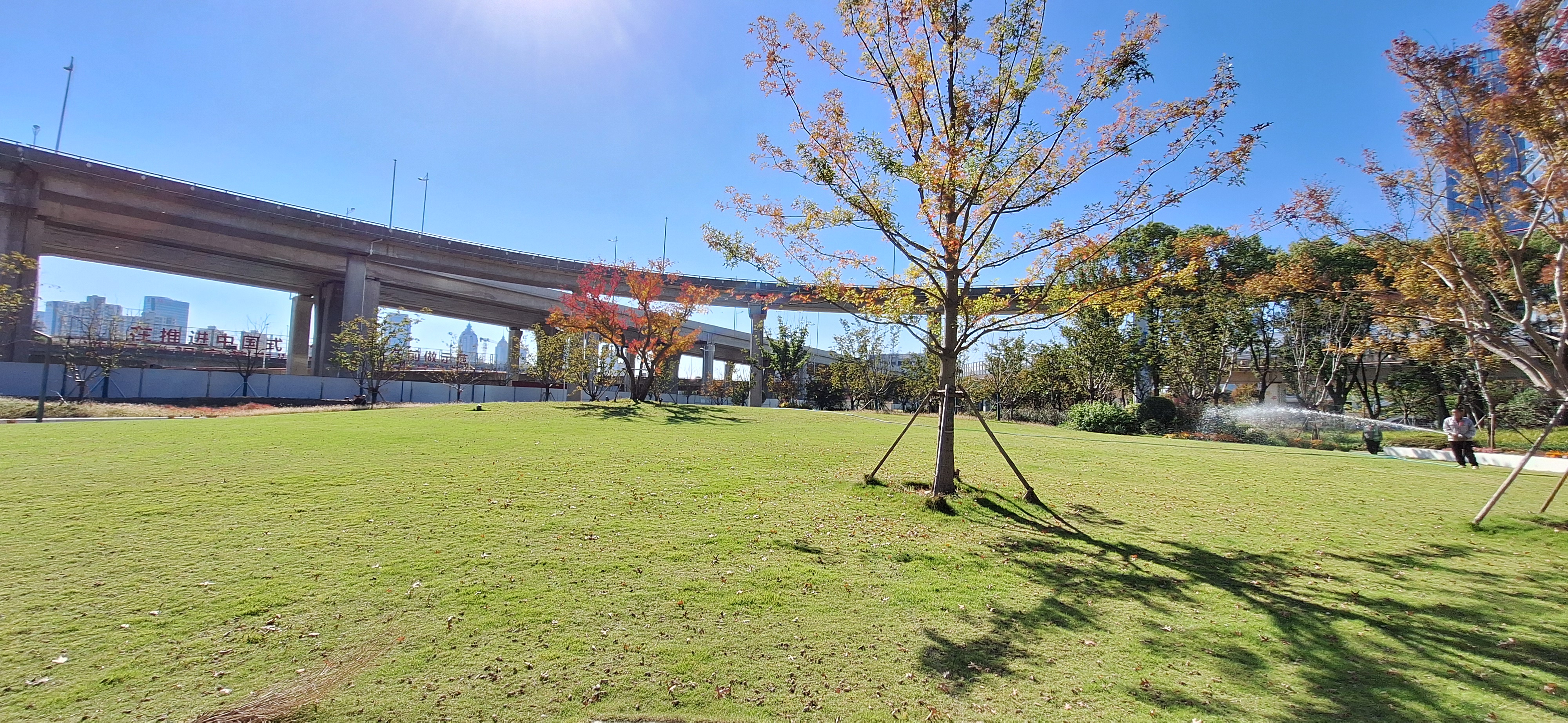 2025-11-13_12-29-22_921