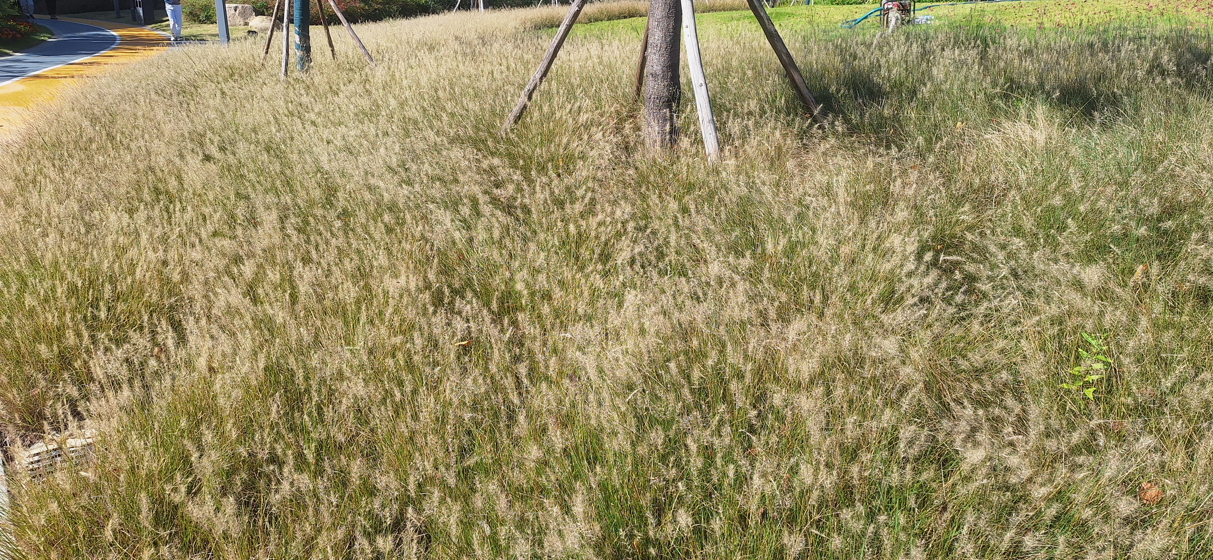 2025-11-13_12-30-49_049